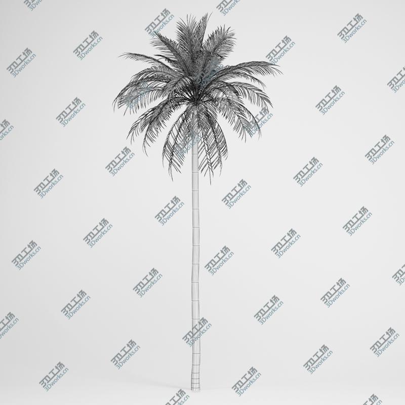 images/goods_img/2021040231/CGAxis Date Palm 03/2.jpg
